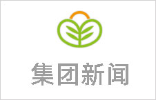 公司组织开展“慈心一日捐”活动